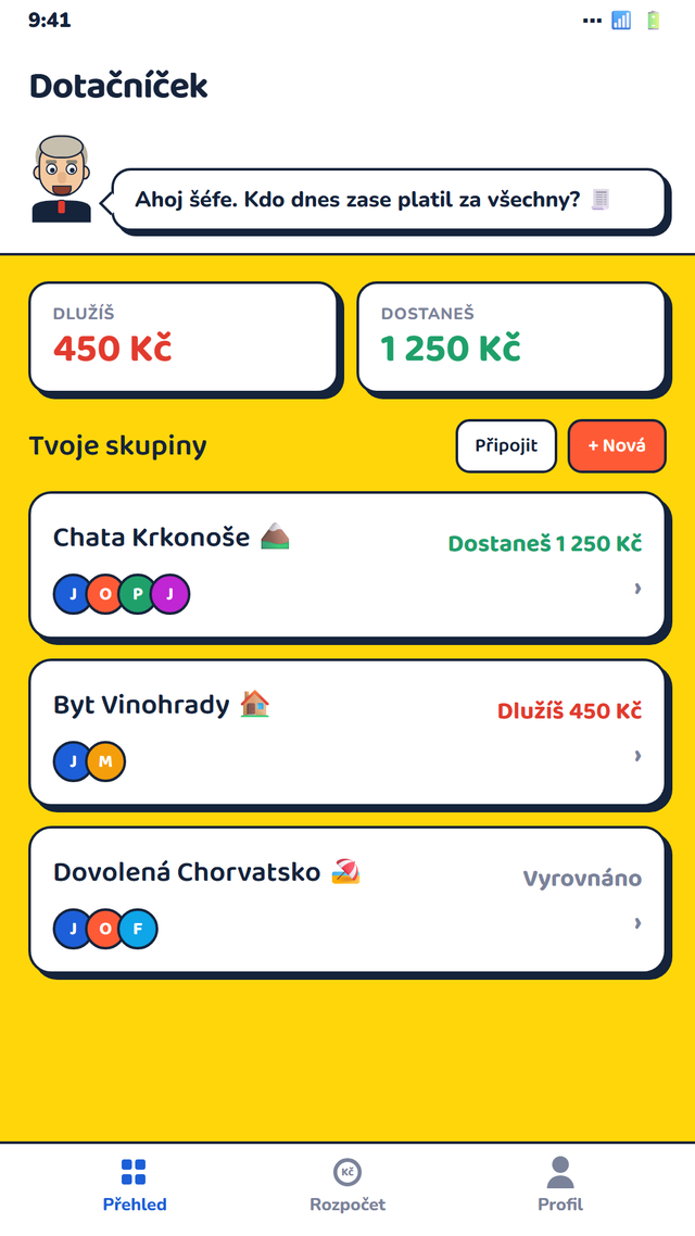 Přehled skupin a dluhů